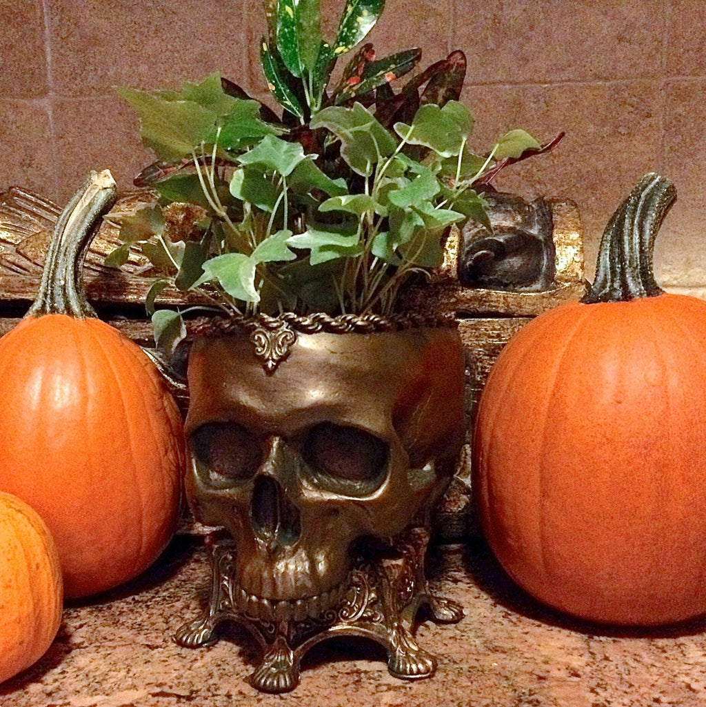Human Skull Planter | Bronze Finish