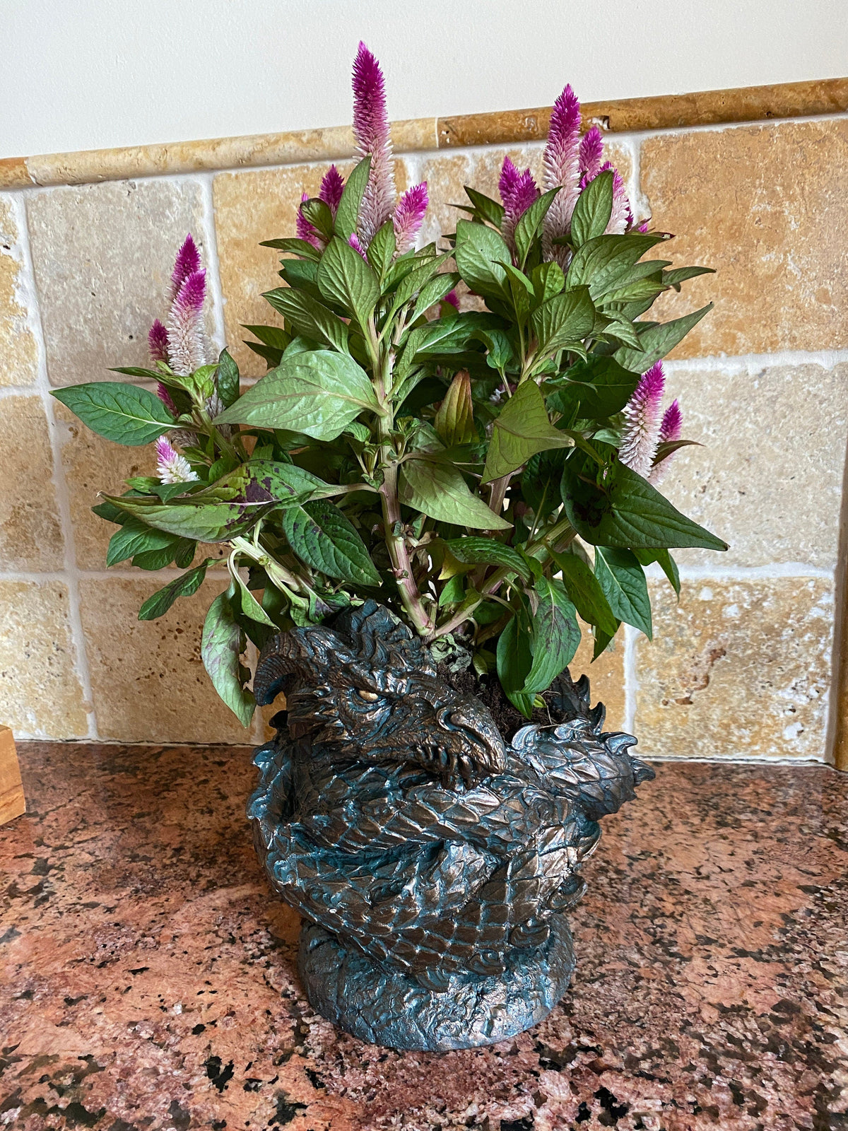 Coiled Dragon Planter | Large Version