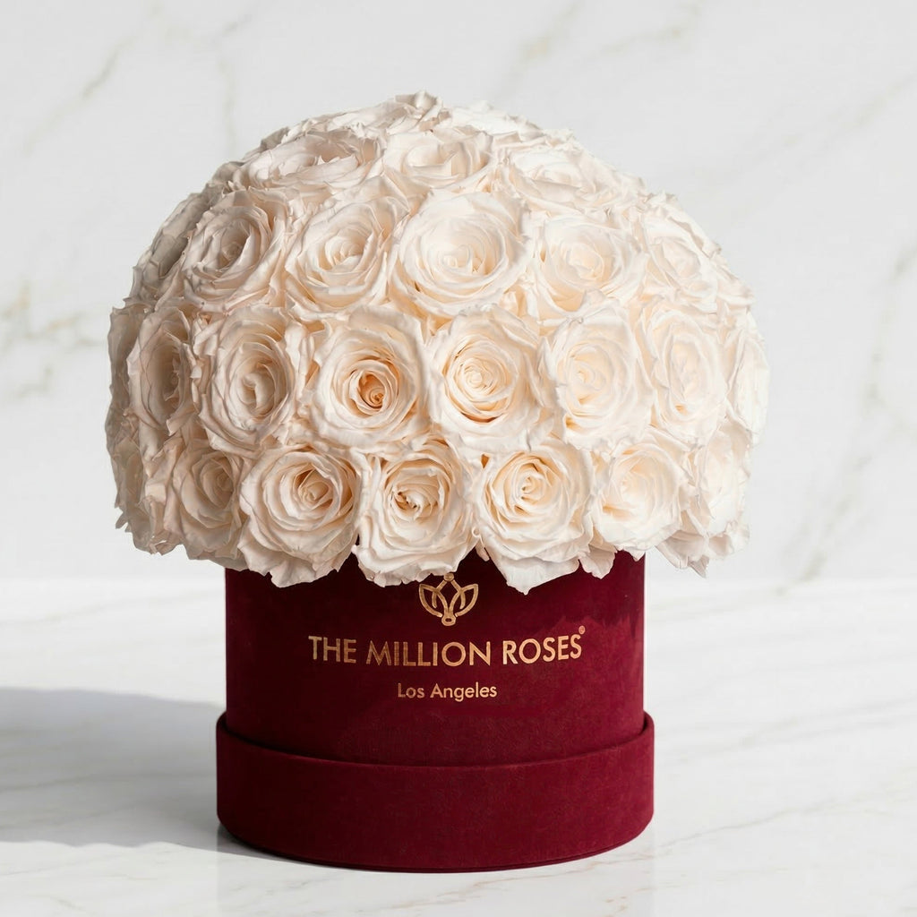 Classic Bordeaux Suede Superdome Box | White Roses