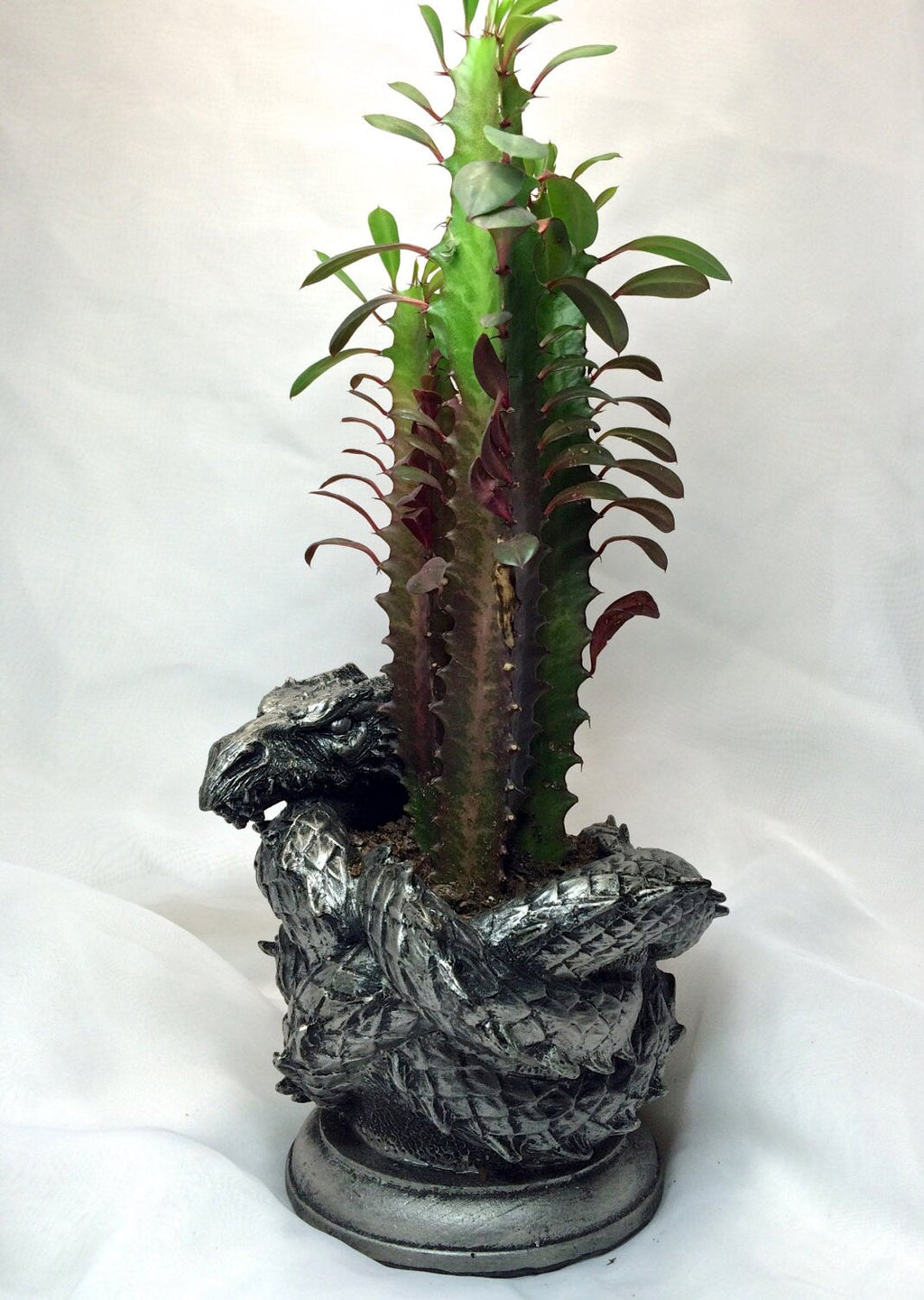Coiled Dragon Planter | Pewter Finish