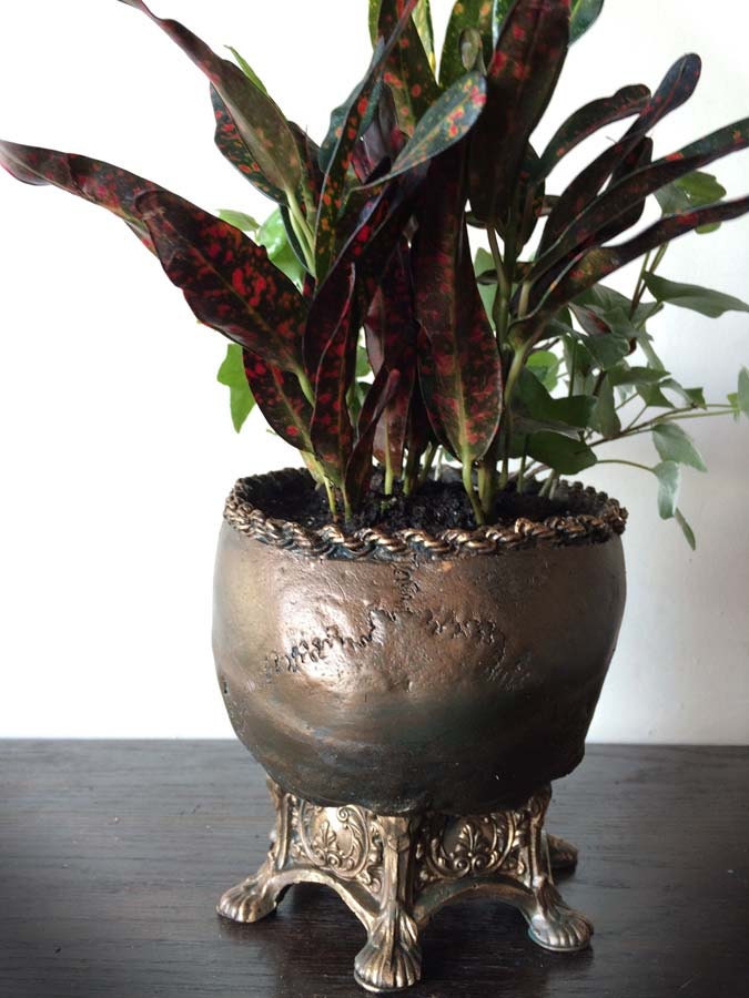 Human Skull Planter | Bronze Finish