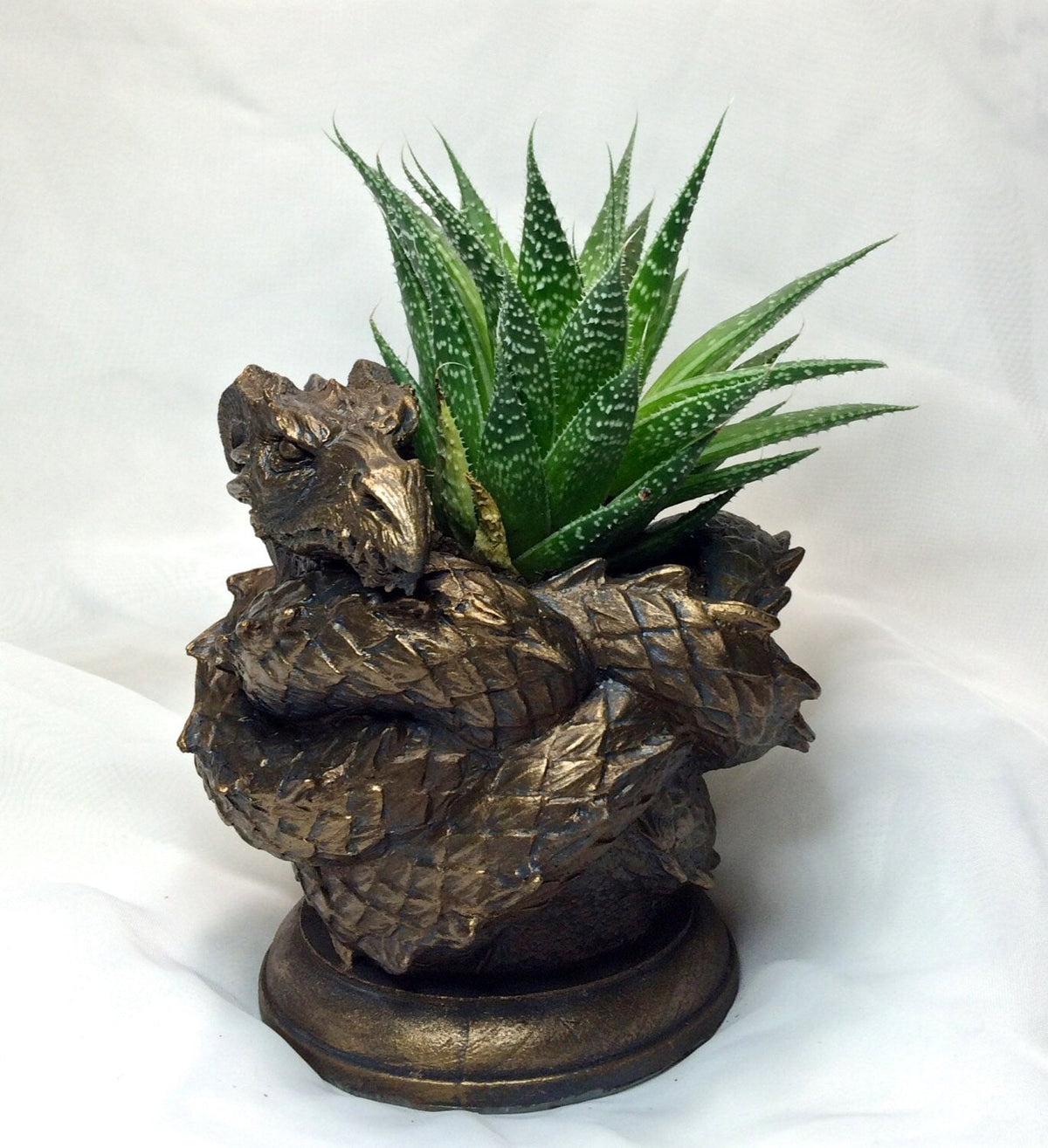 Coiled Dragon Planter | Bronze Finish