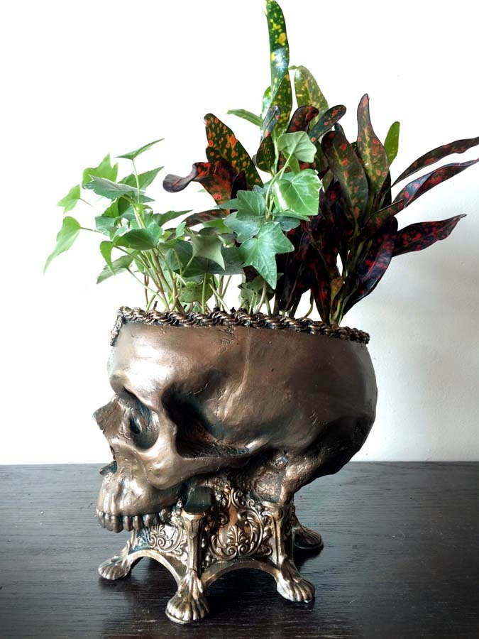 Human Skull Planter | Bronze Finish