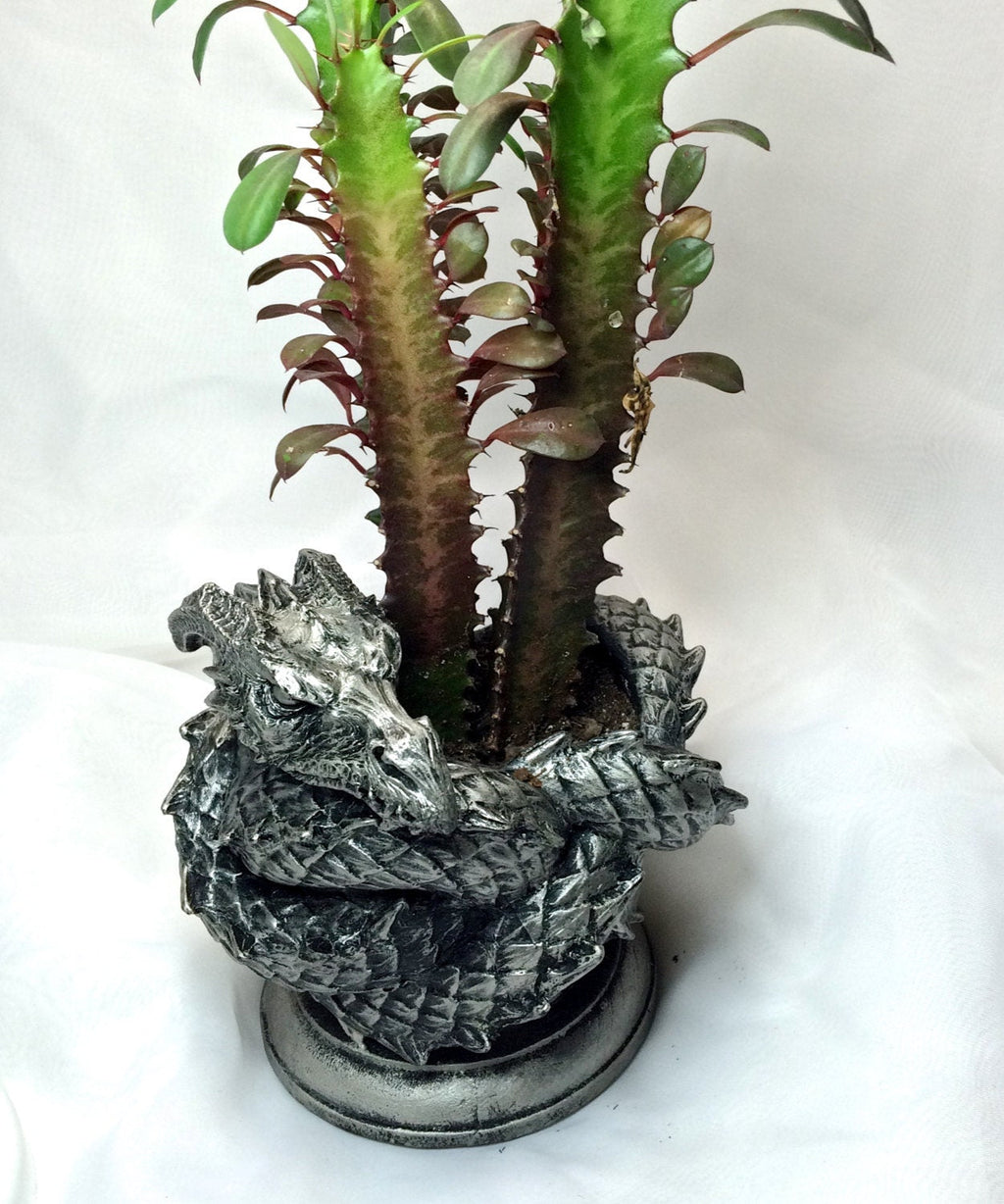 Coiled Dragon Planter | Pewter Finish