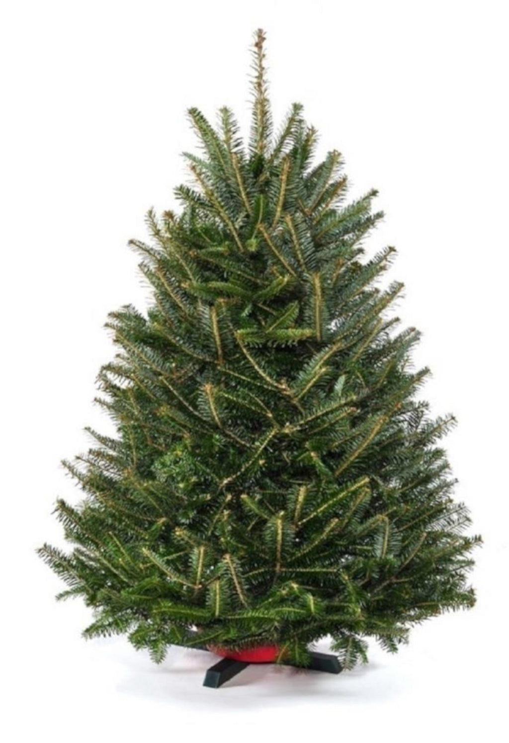 Real Christmas Trees Delivered 3 Foot Balsam Fir Tabletop Christmas Tree