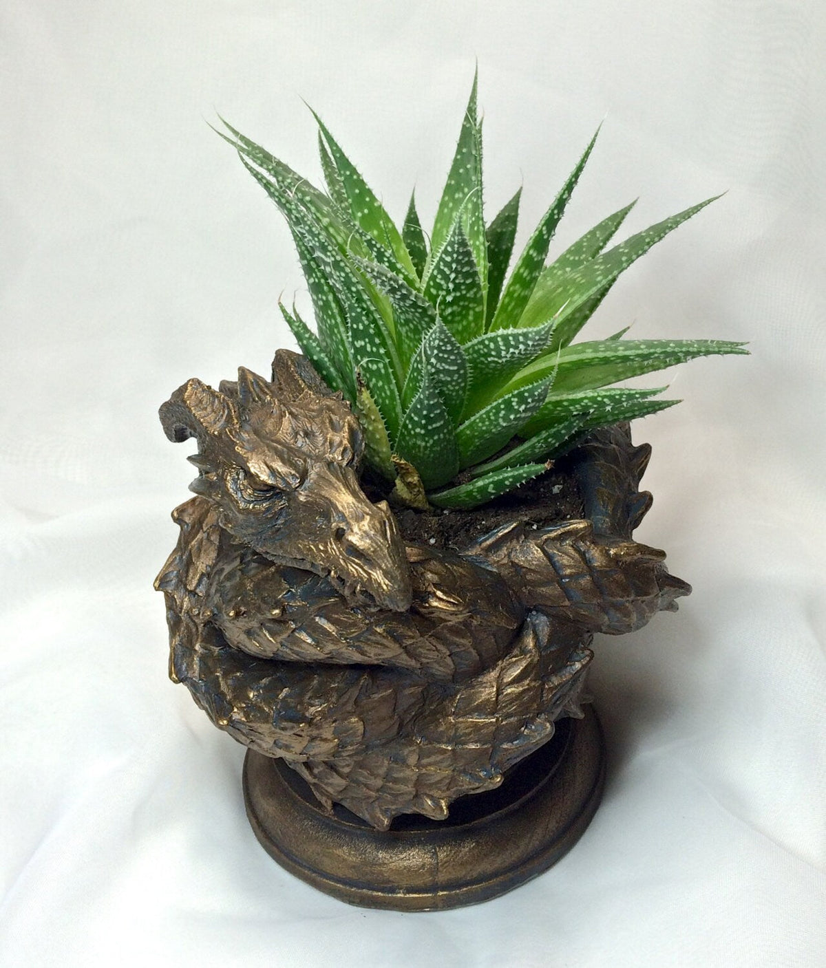 Coiled Dragon Planter | Bronze Finish