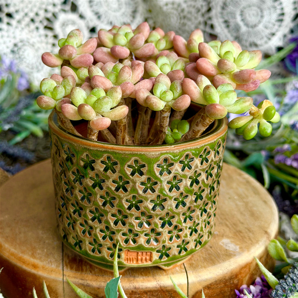 WS-0063 Rustic Handmade Clay Planter Pot - Pot Rim Diameter: ~3"