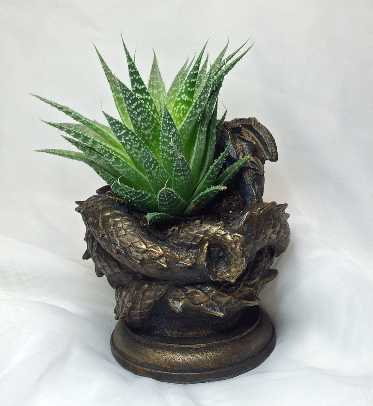 Coiled Dragon Planter | Bronze Finish