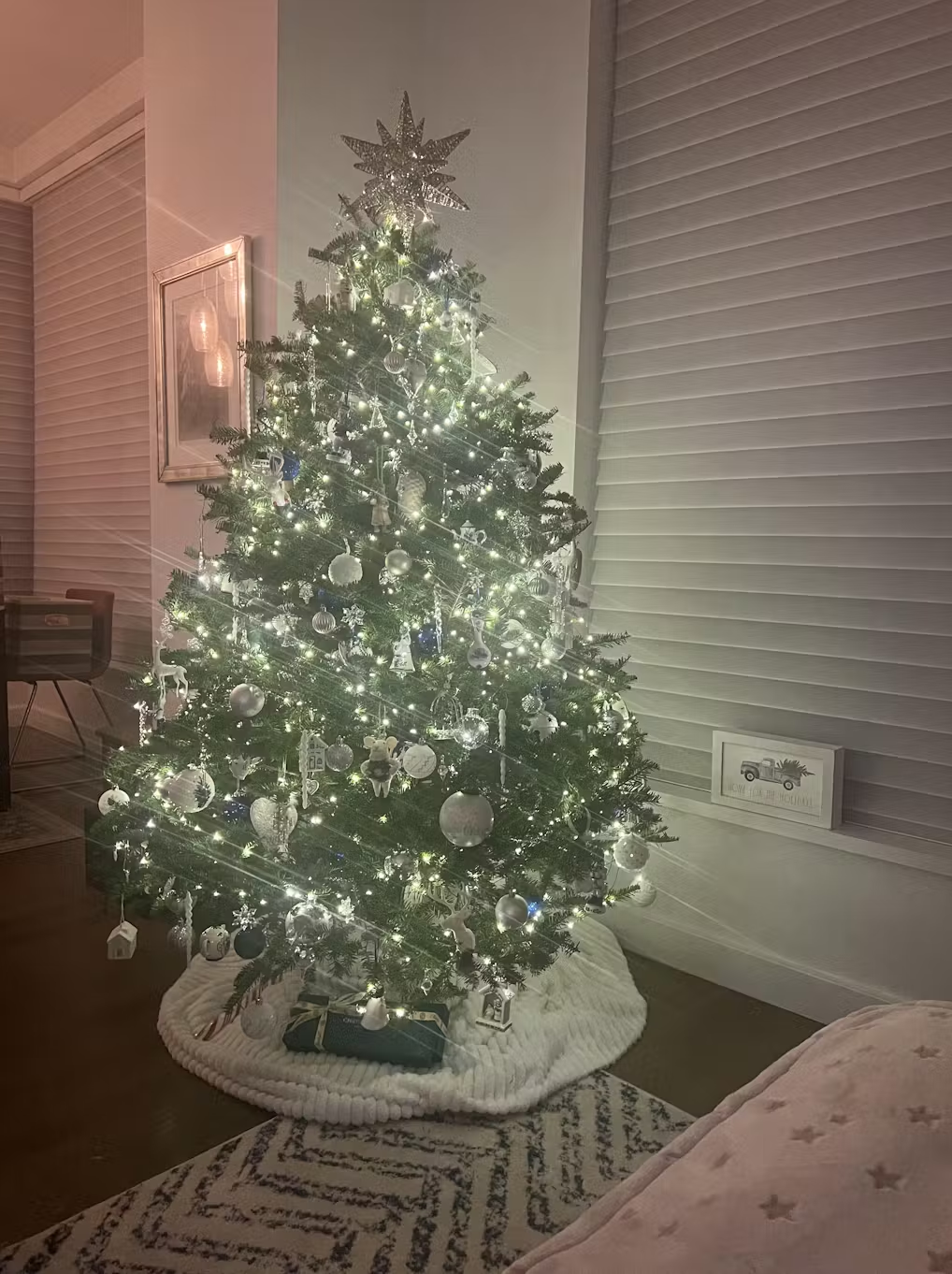 Real Christmas Trees Delivered 5 Foot Premium Fraser Fir