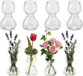Clear Glass Bud Vases - Propagation Stations (Set of 8)
