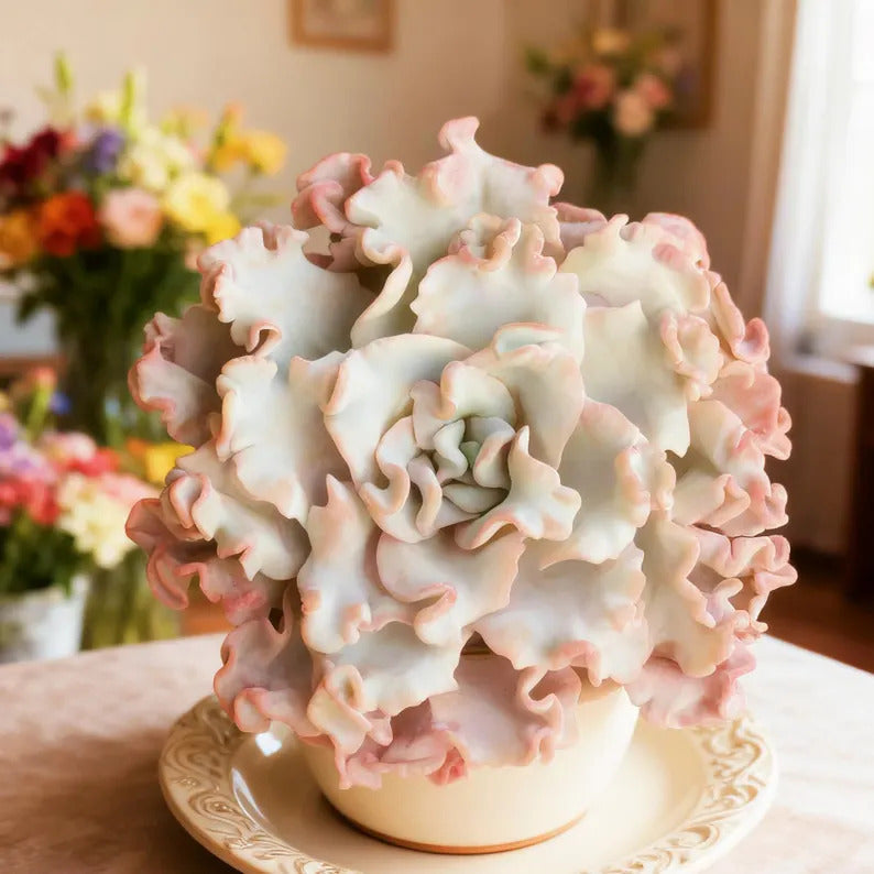 Crispate Beauty Rare Succulent Plants, 3.5" Green Imported Live Succulent Plant, Indoor Office Wedding Party Decor Gifts