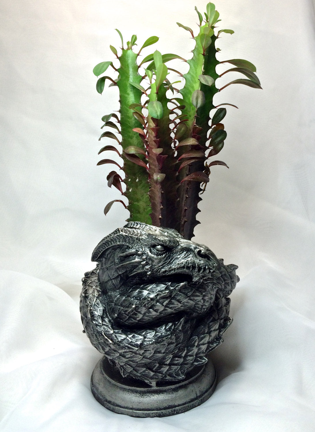 Coiled Dragon Planter | Pewter Finish