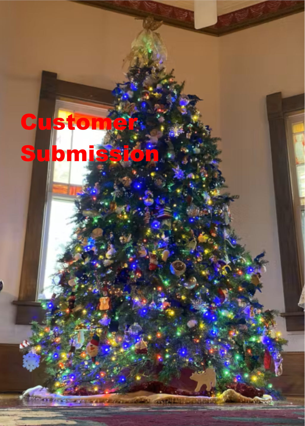 Real Christmas Trees Delivered 8 Foot Premium Balsam Fir Christmas Tree