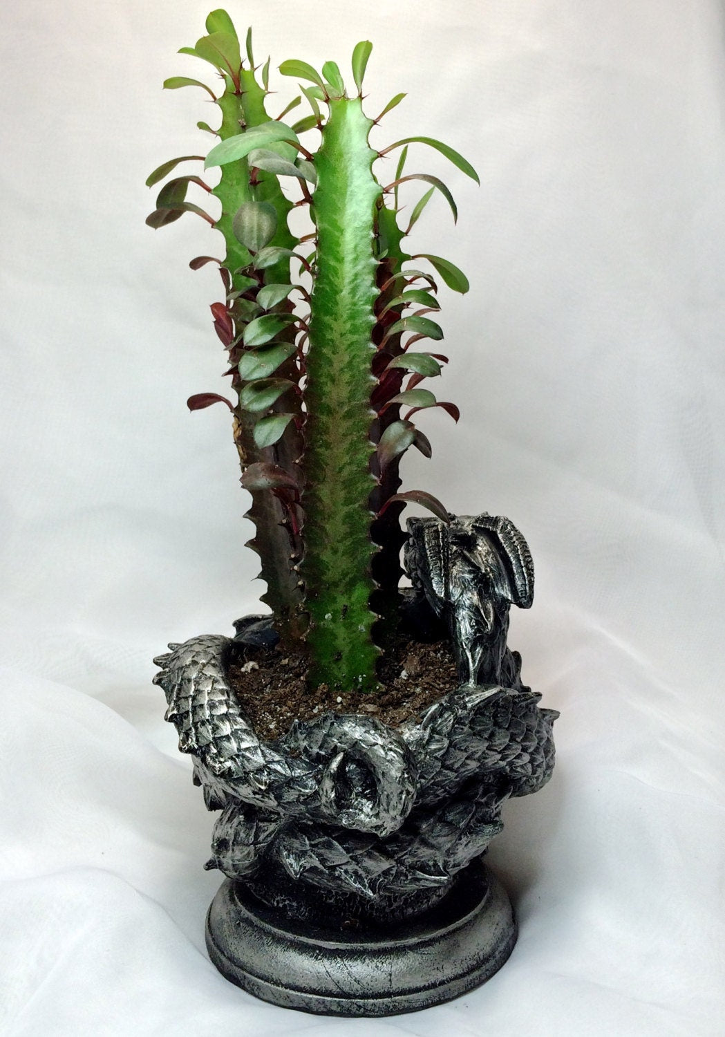 Coiled Dragon Planter | Pewter Finish