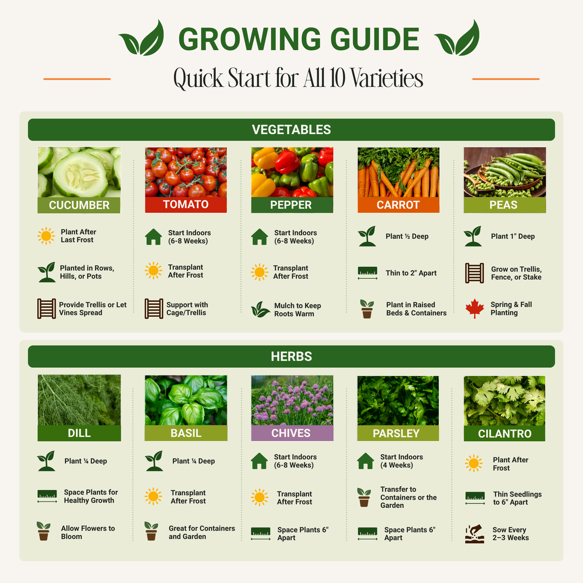 Vegetable & Herb Seed Set - Non-GMO Heirloom