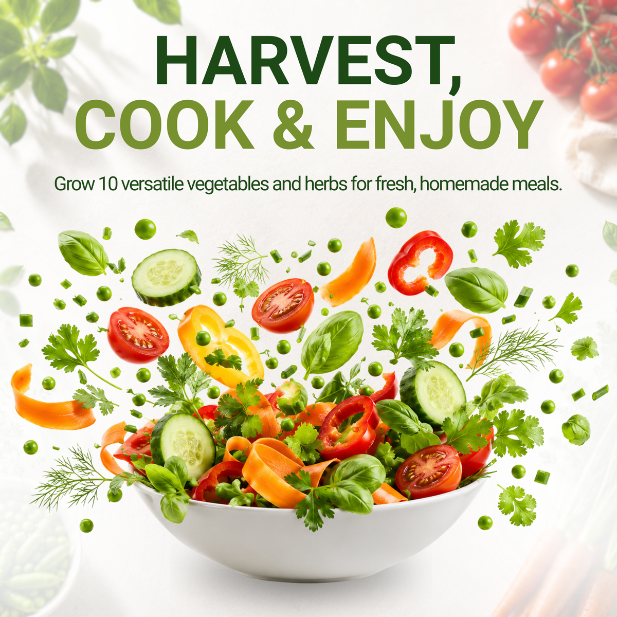 Vegetable & Herb Seed Set - Non-GMO Heirloom