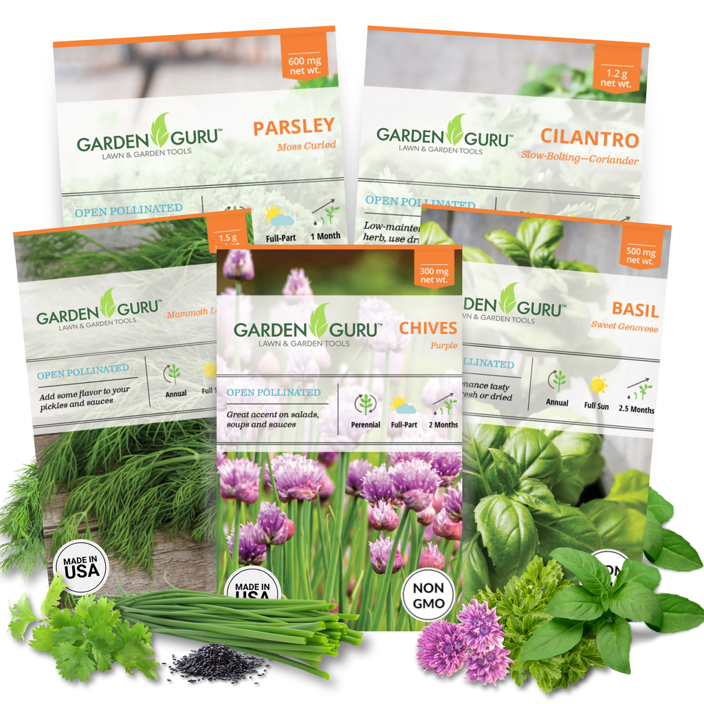 Herb Seed Set - Non-GMO