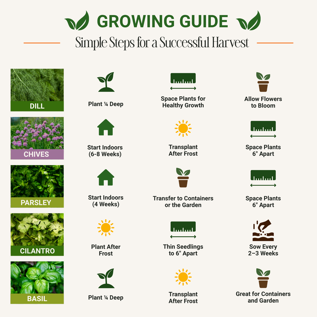 Herb Seed Set - Non-GMO