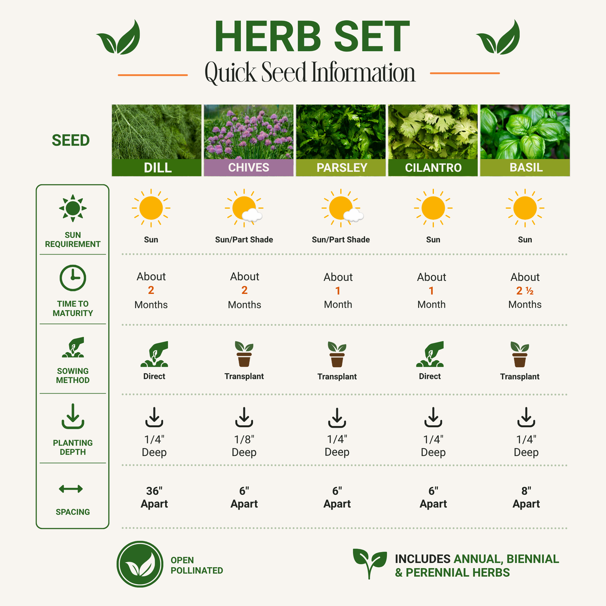 Herb Seed Set - Non-GMO