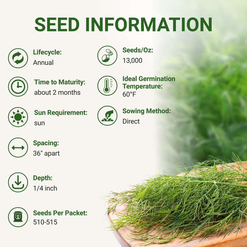 Long Island Mammoth Dill Seeds 3-Pack - Non-GMO
