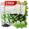Slow Bolt Cilantro Seeds 3-Pack - Non-GMO