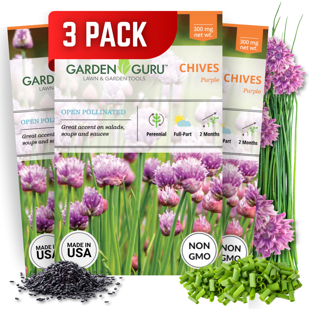Purple Chive Seeds 3-Pack - Non-GMO