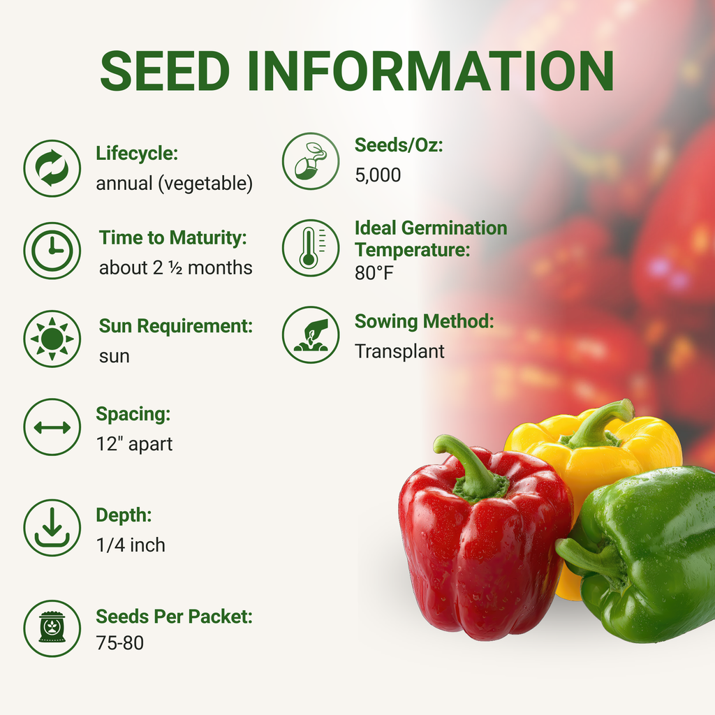 California Wonder Bell Pepper Seeds 3-Pack - Non-GMO
