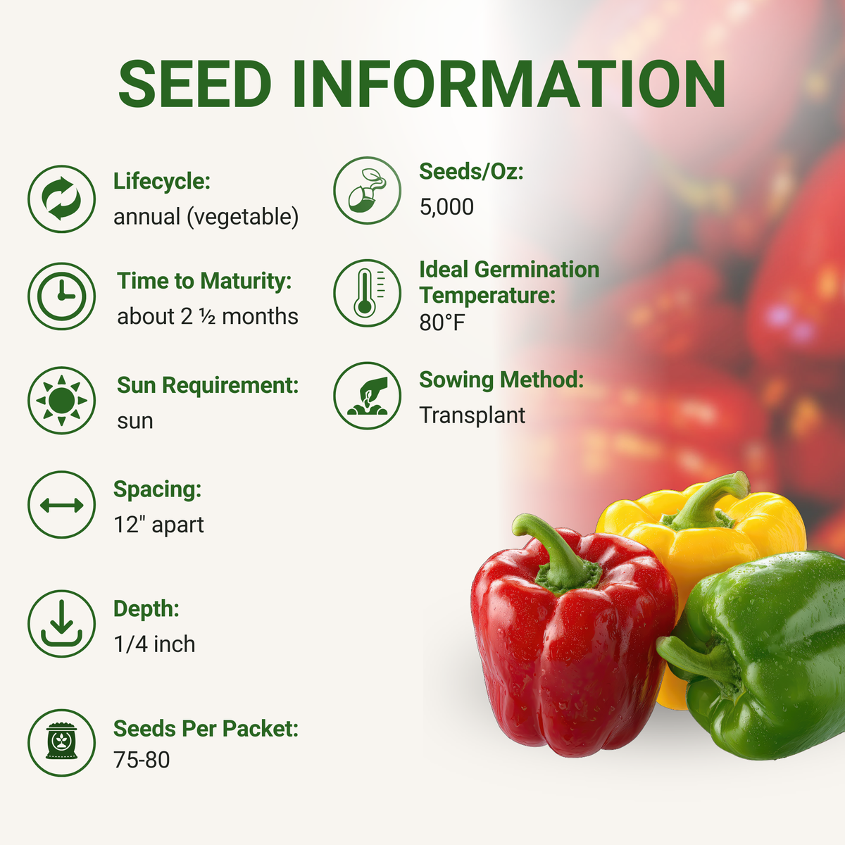 California Wonder Bell Pepper Seeds 3-Pack - Non-GMO
