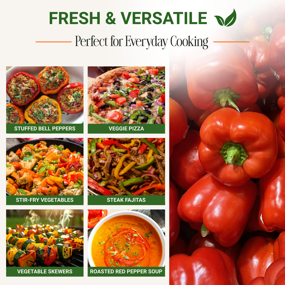 California Wonder Bell Pepper Seeds 3-Pack - Non-GMO