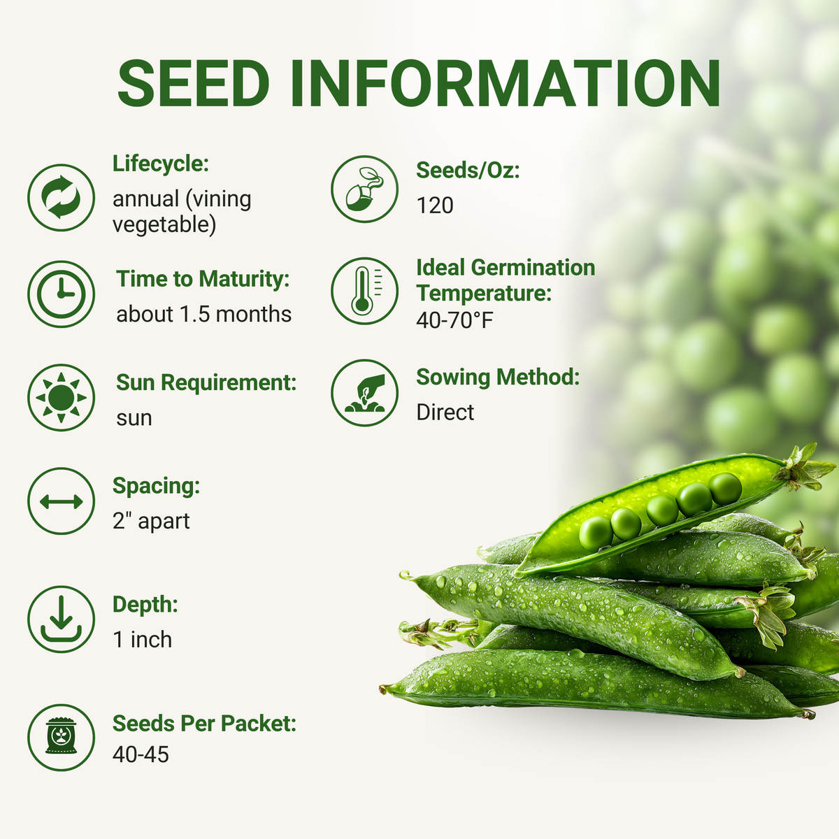 Sugar Snap Pea Seeds 3-Pack - Non-GMO