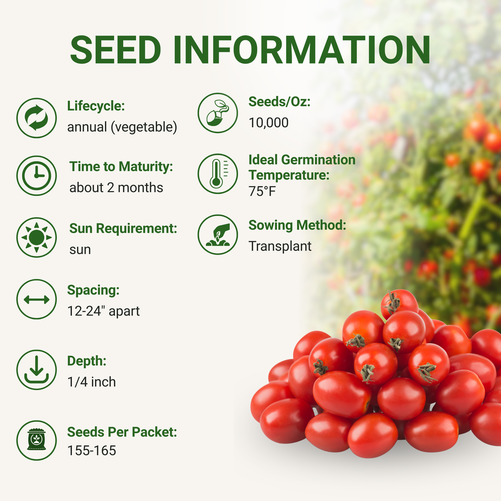 Sweetie Cherry Tomato Seeds 3-Pack - Non-GMO