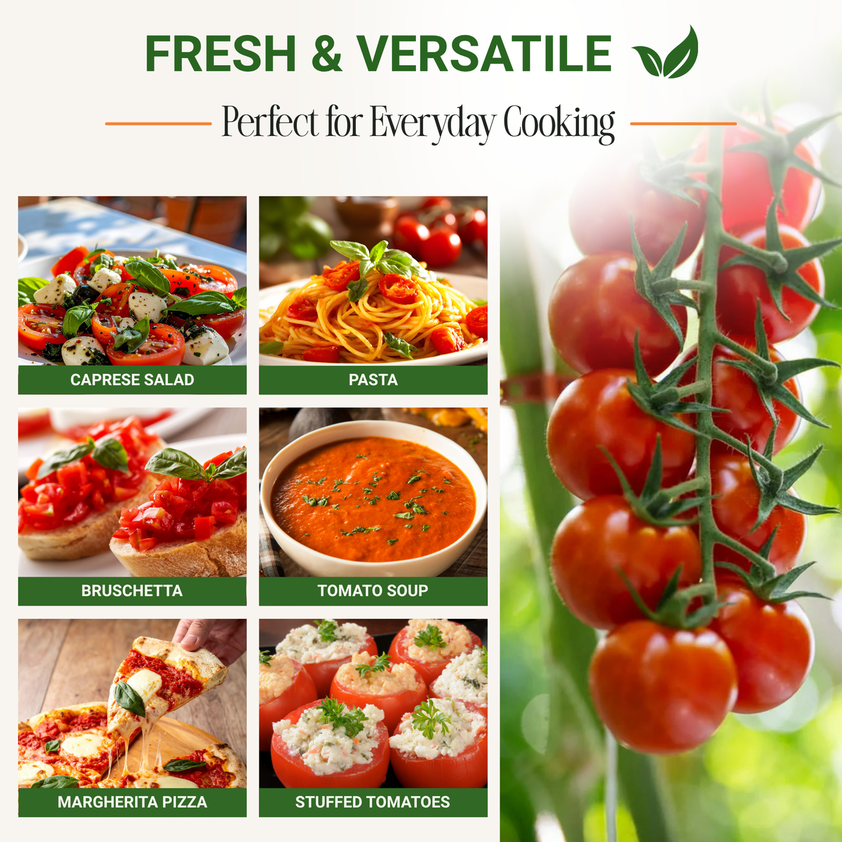 Sweetie Cherry Tomato Seeds 3-Pack - Non-GMO