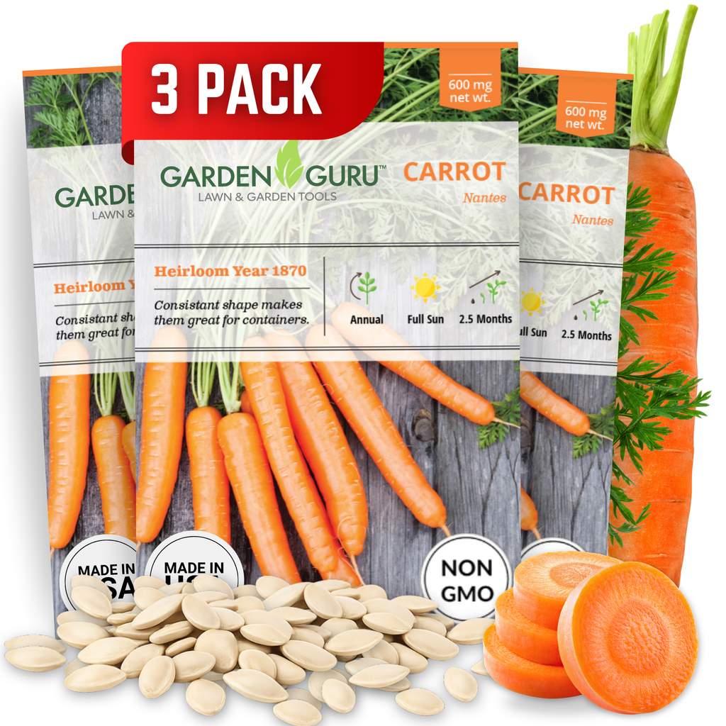 Nantes Carrot Seeds 3-Pack - Non-GMO