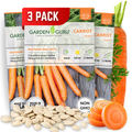 Nantes Carrot Seeds 3-Pack - Non-GMO