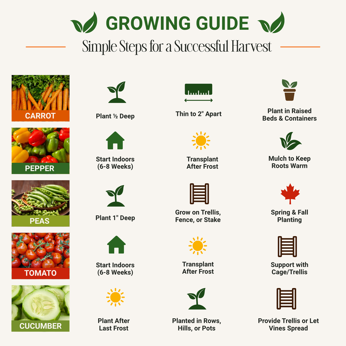 Vegetable Seed Set - Non-GMO Heirloom