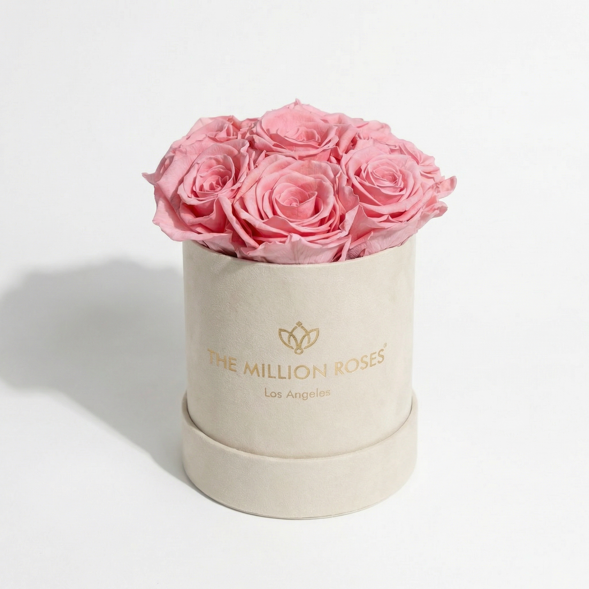 Essence Beige Suede Box | Light Pink Roses