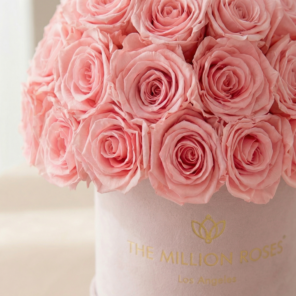 Essence Light Pink Suede Superdome Box | Light Pink Roses