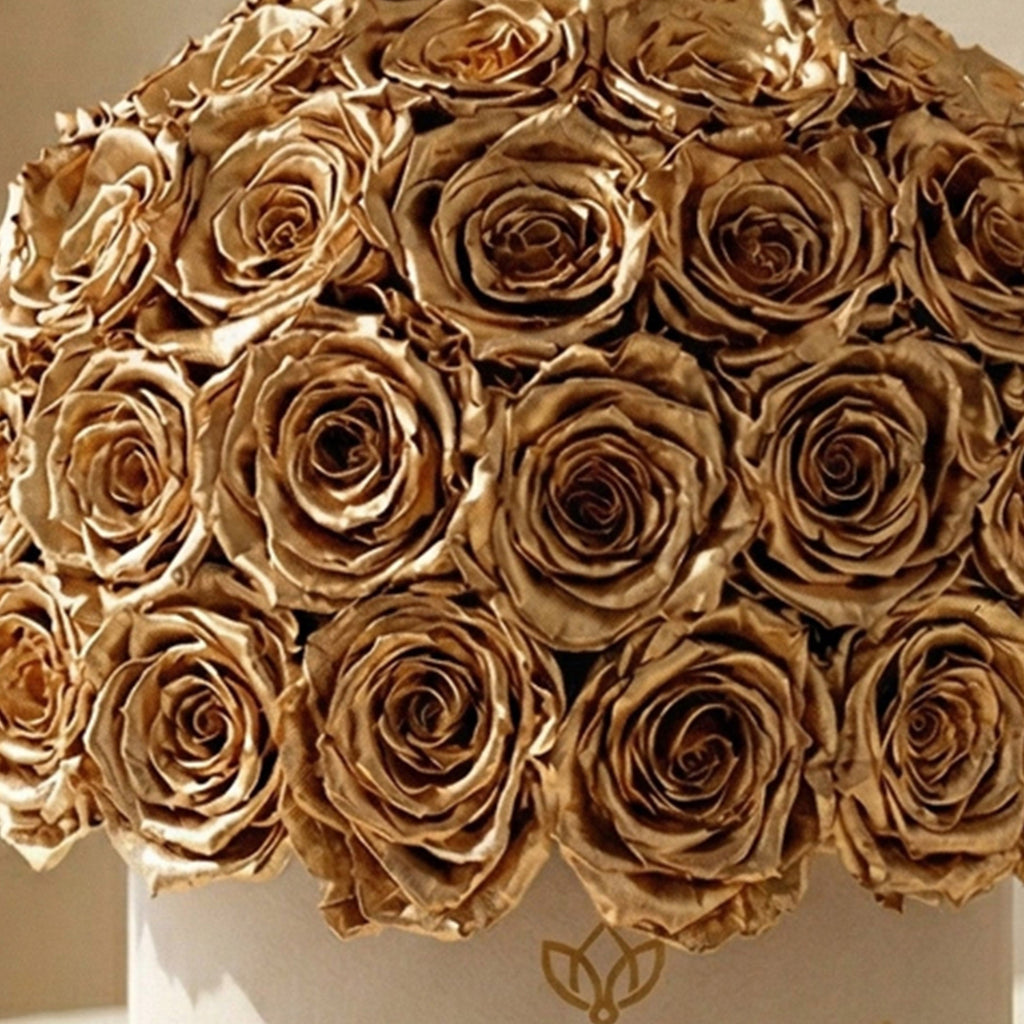 Classic Beige Suede Superdome Box | Gold Roses
