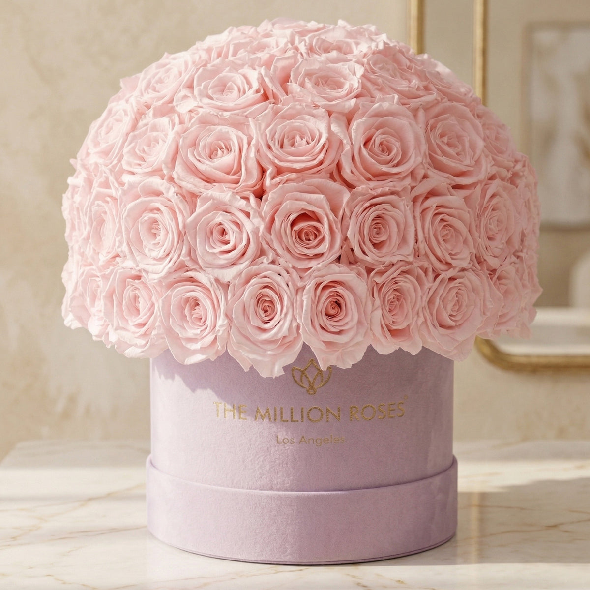 Classic Light Pink Suede Superdome Box | Light Pink Roses