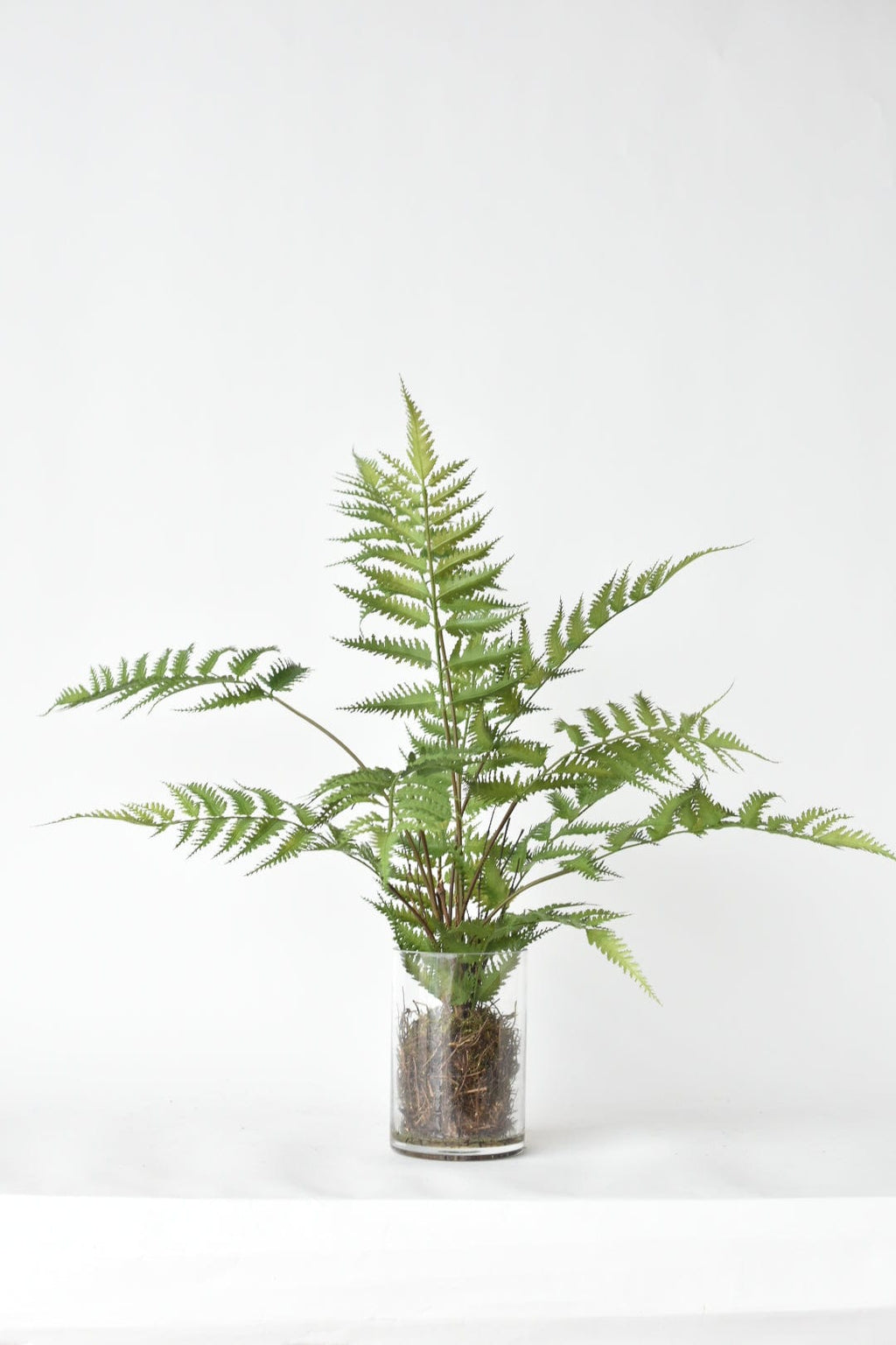 25" Faux Forest Fern in Glass Vase