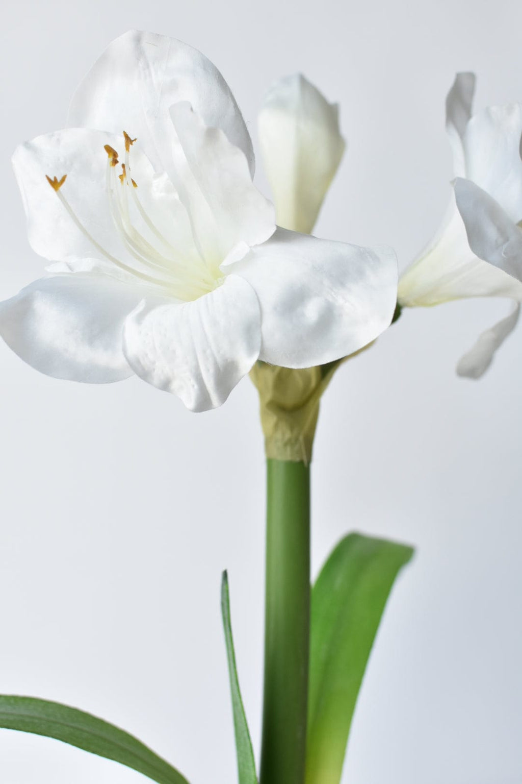 20.5" Faux White Amaryllis in Woven Pot