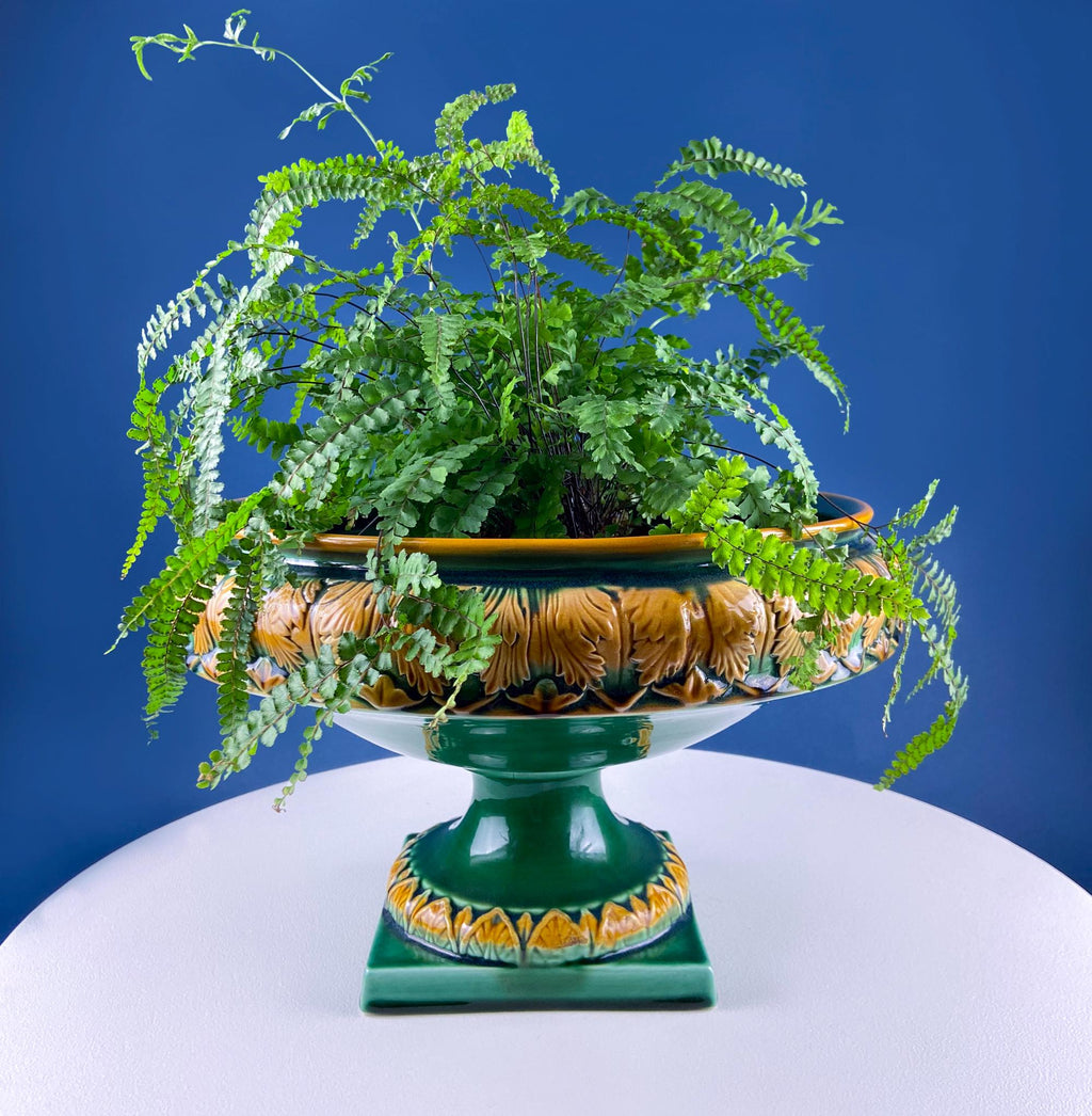 The Fern's Finery | Italian Majolica Jardinière