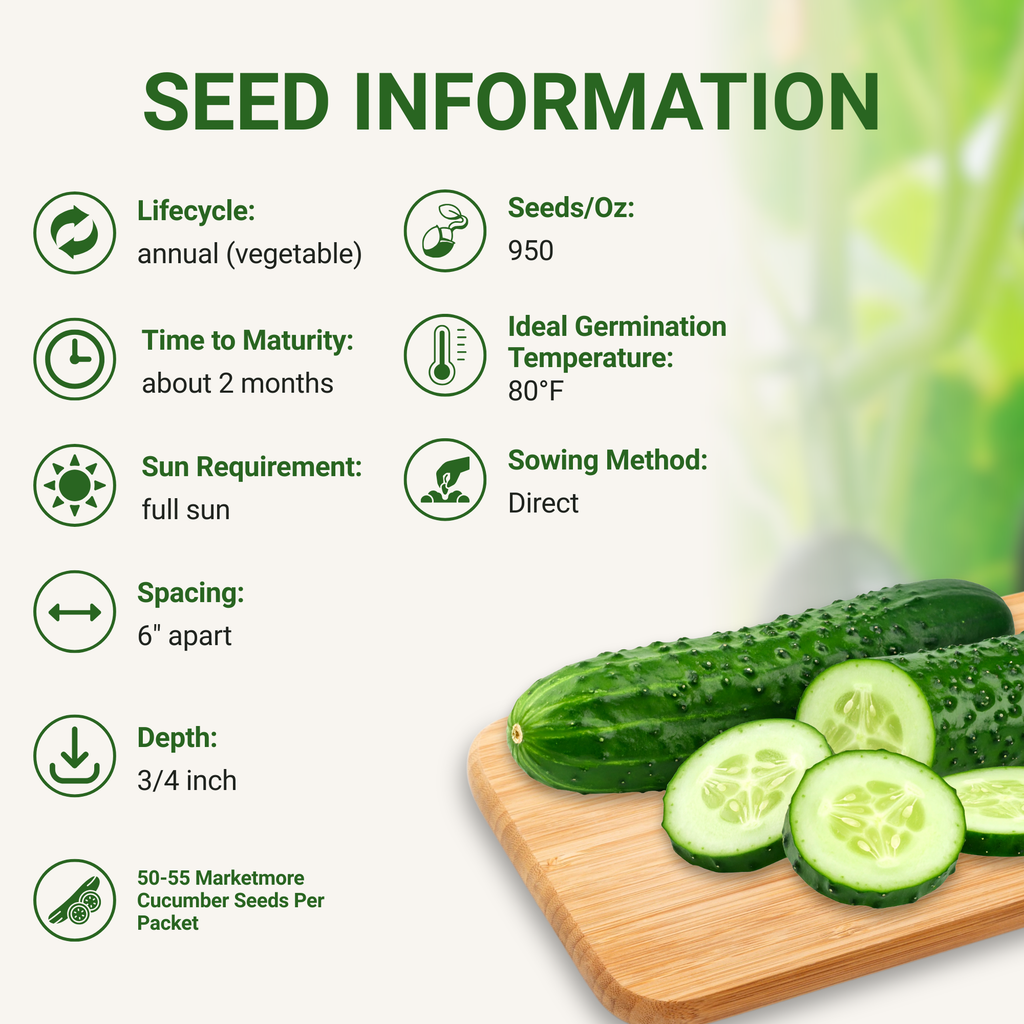 Marketmore 76 Cucumber Seeds 3-Pack - Non-GMO