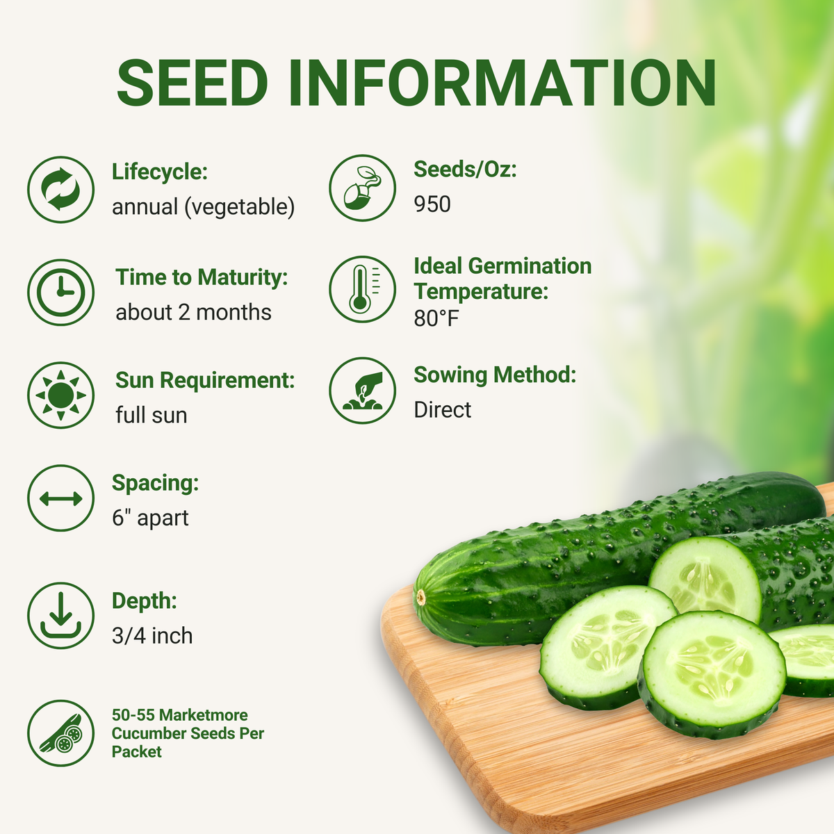 Marketmore 76 Cucumber Seeds 3-Pack - Non-GMO