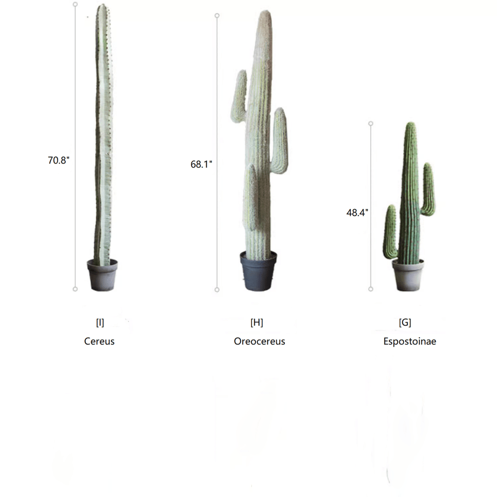 Artificial Cactus in Pot Various Styles