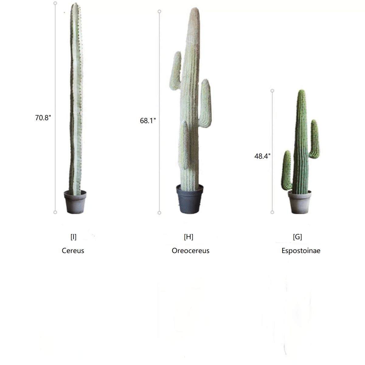 Artificial Cactus in Pot Various Styles