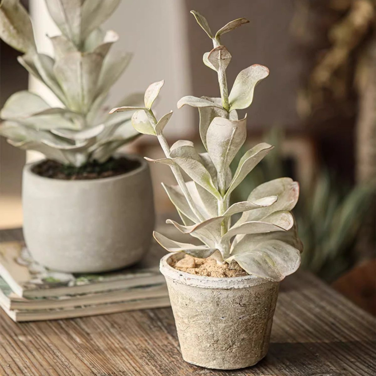 Realistic Green Plant in Ceramic Pot