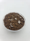 Soil mix for [Sarracenias - Drosera - Dionaea muscipula ]