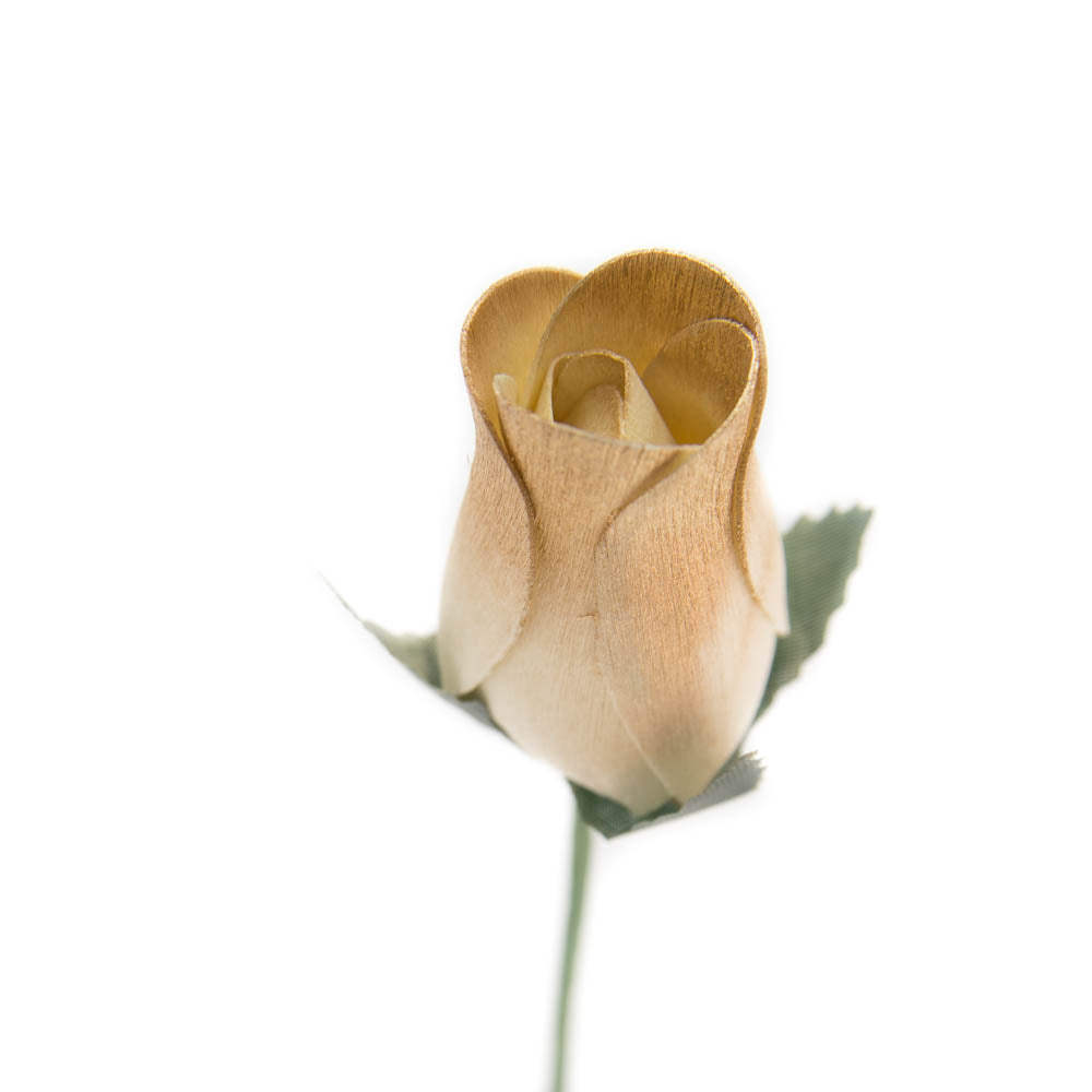 White/Gold Closed Bud Roses 8-Pack