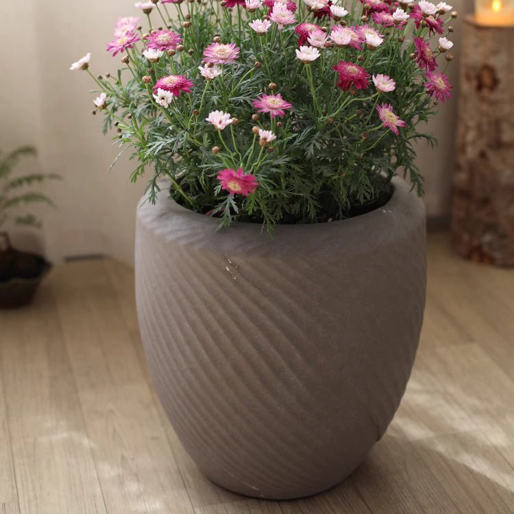 Comtemporary Swirl Planter